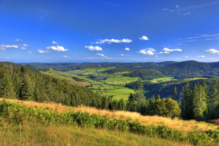 Bernau Talblick im Sommer