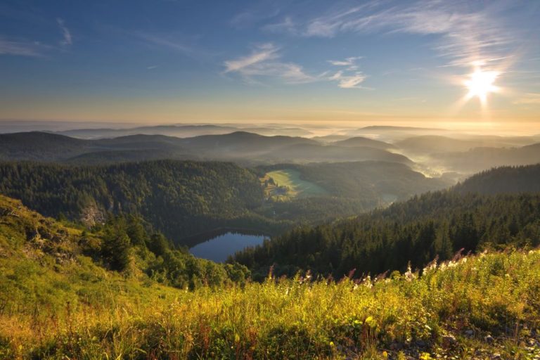 Blick auf den Feldsee im Hochschwarzwald